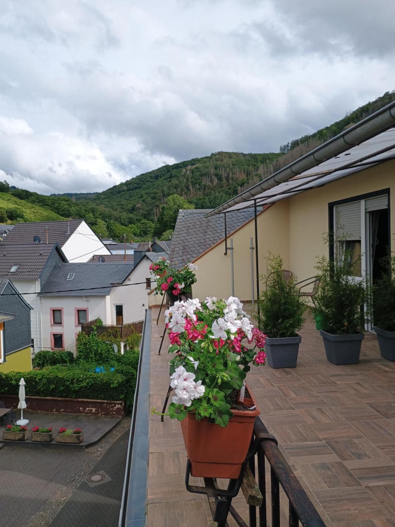 Gasthof Zur Grafschaft Veldenz Екстериор снимка