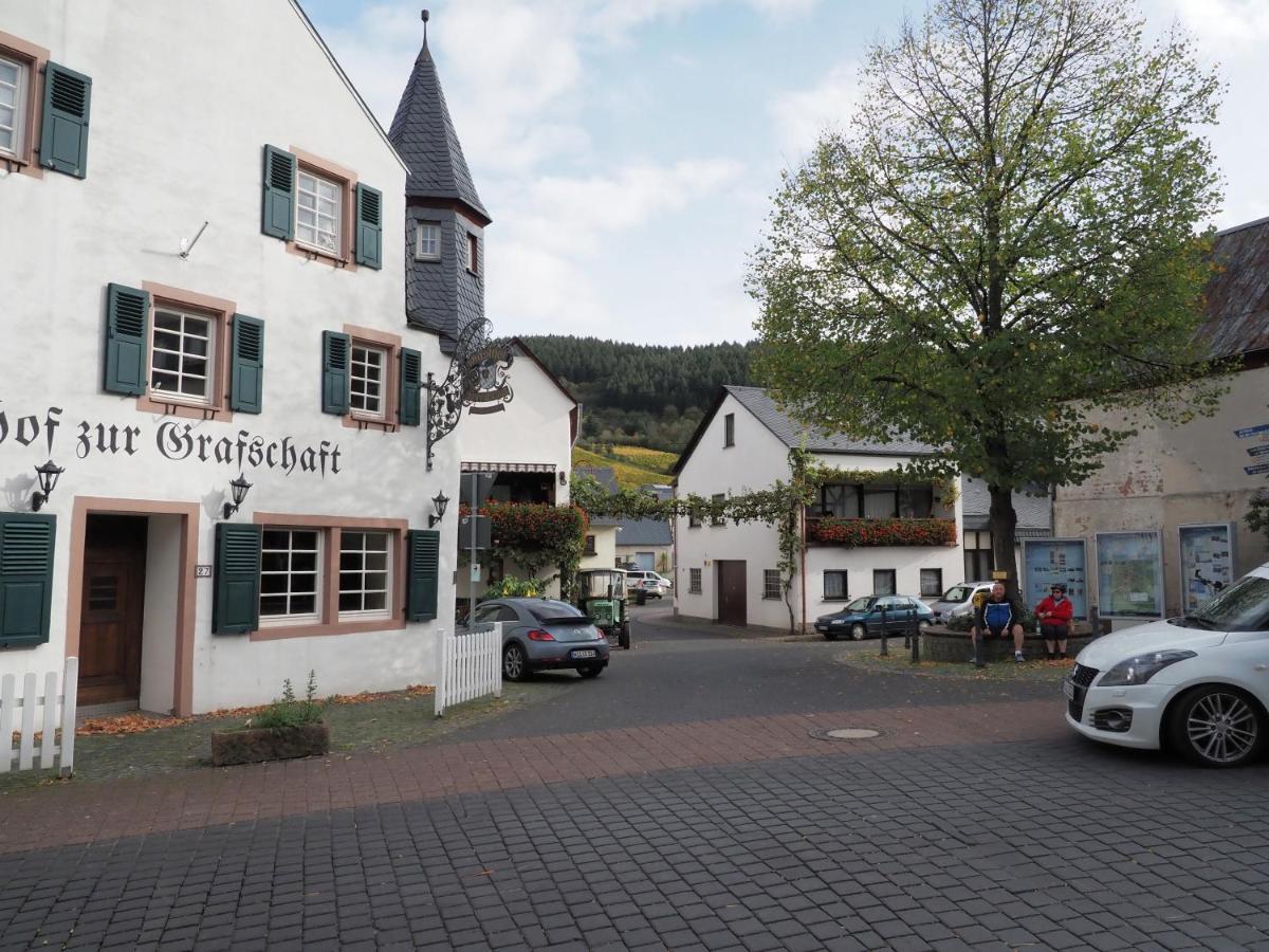 Gasthof Zur Grafschaft Veldenz Екстериор снимка